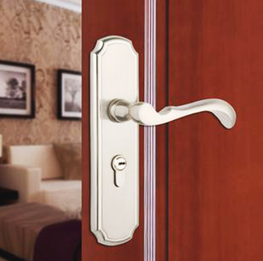 the-building-door-lock
